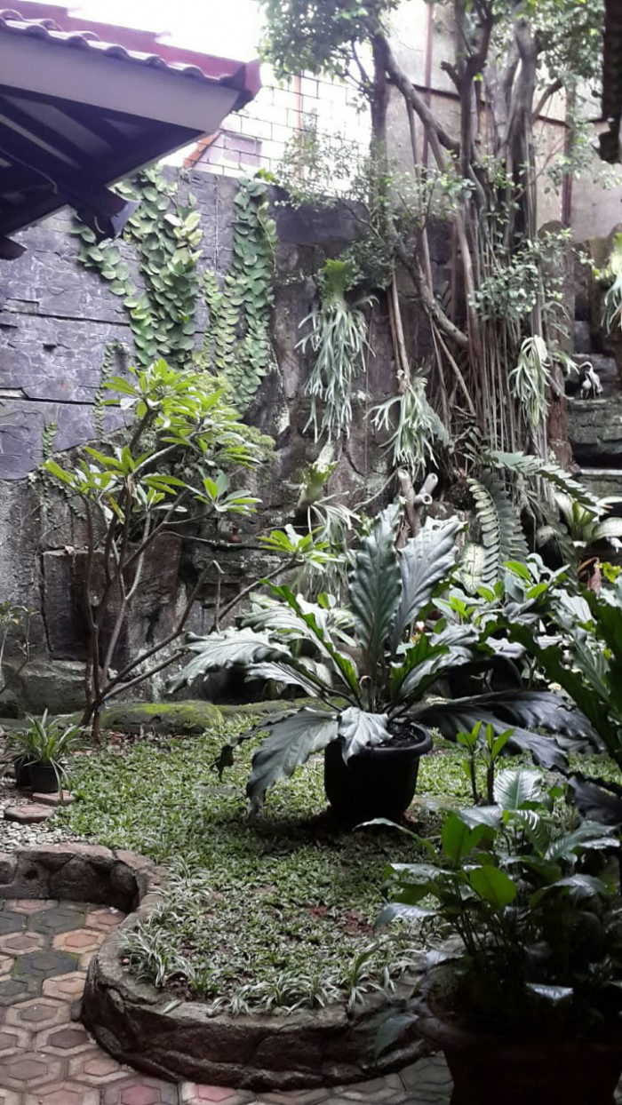 Rumah dijual di Cilandak Jakarta Selatan